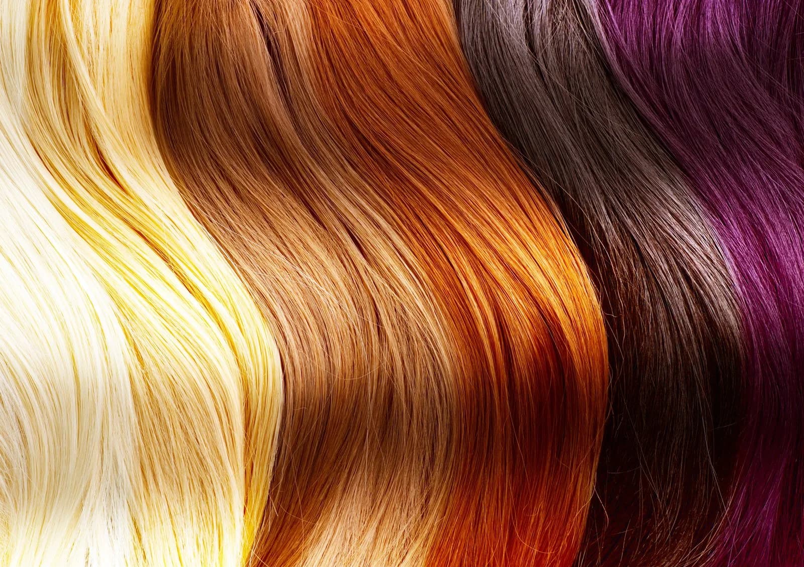 Nuancier de mèches de cheveux, du blond au violet
