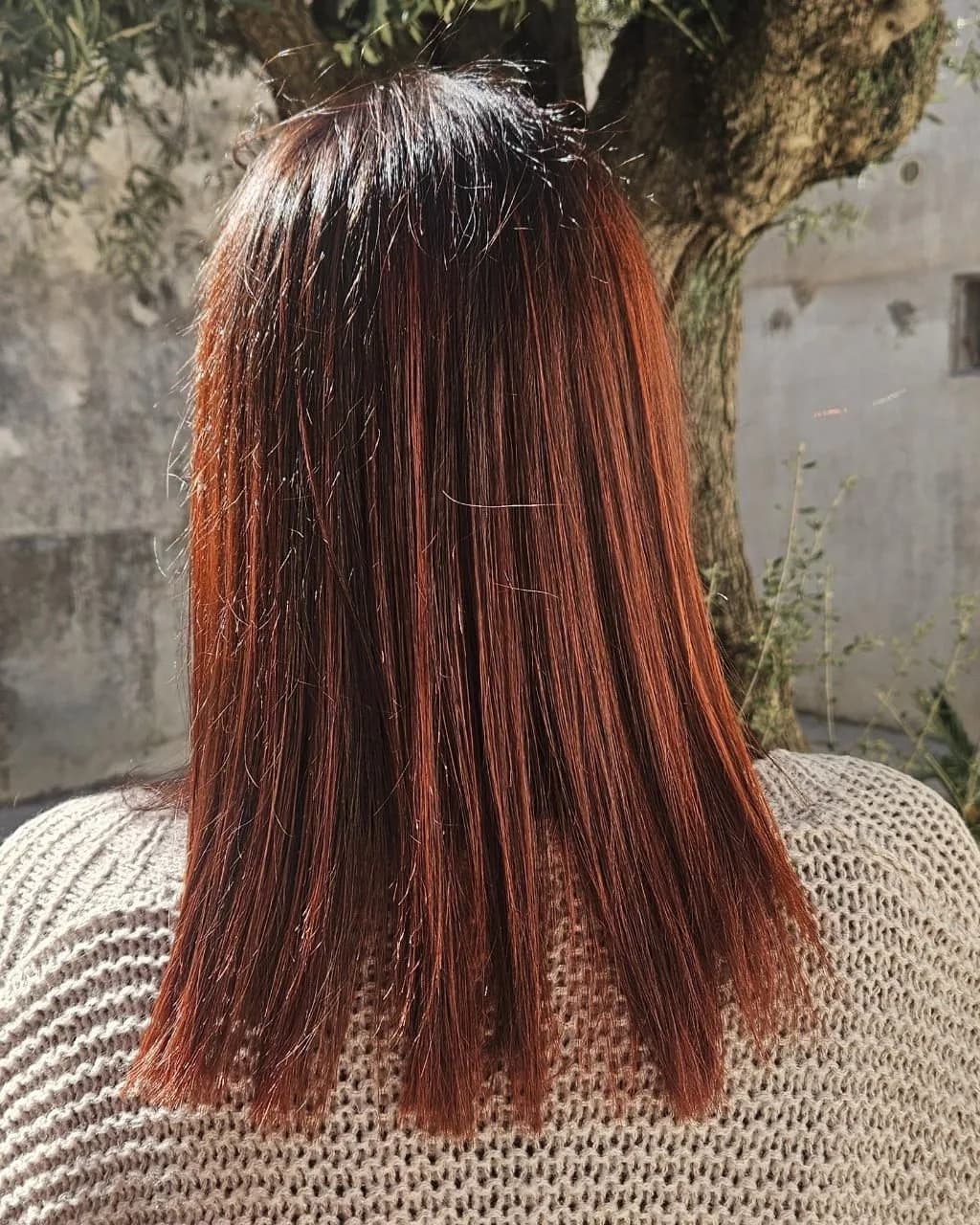 Cheveux mi-longs raides, couleur cuivrée et rouge, vus de dos